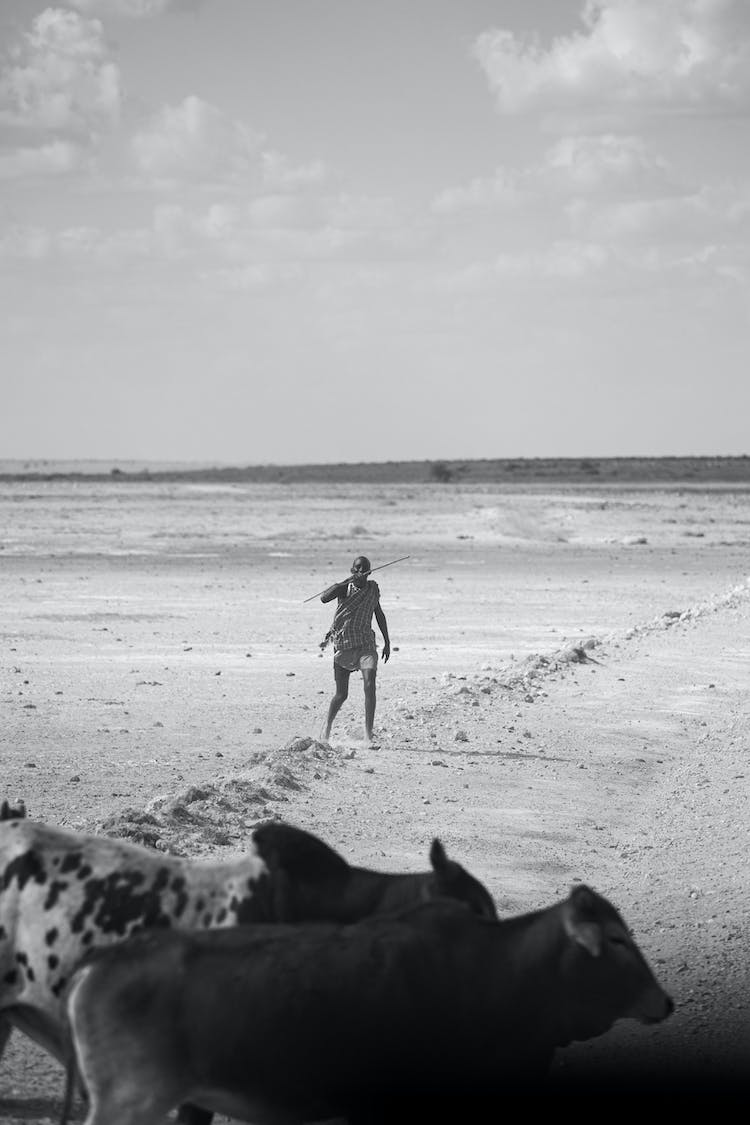 mar blanco y negro hombre playa