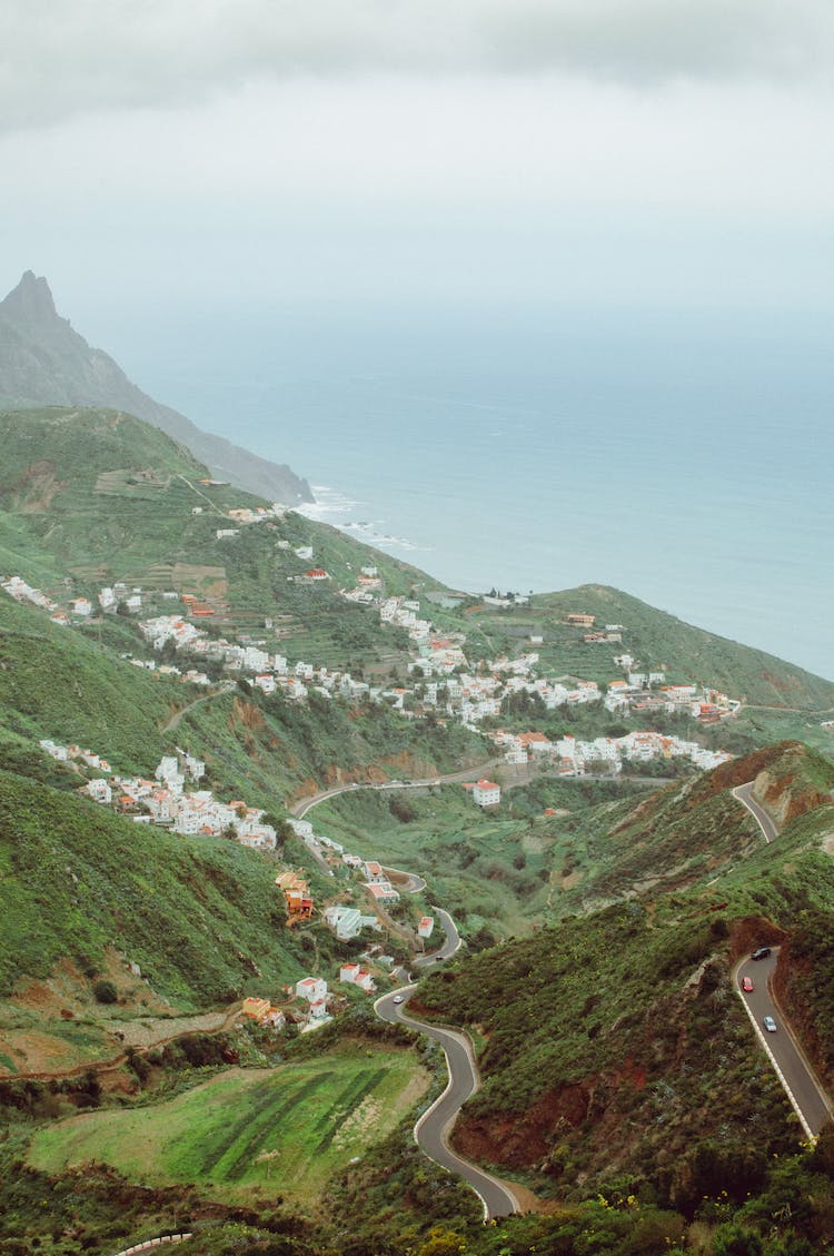 paisaje montana ver verde