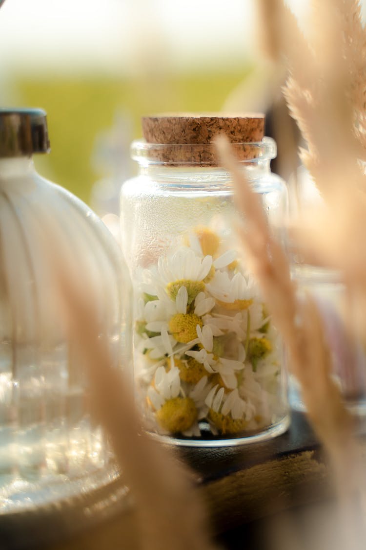 flores vaso petalos tarros