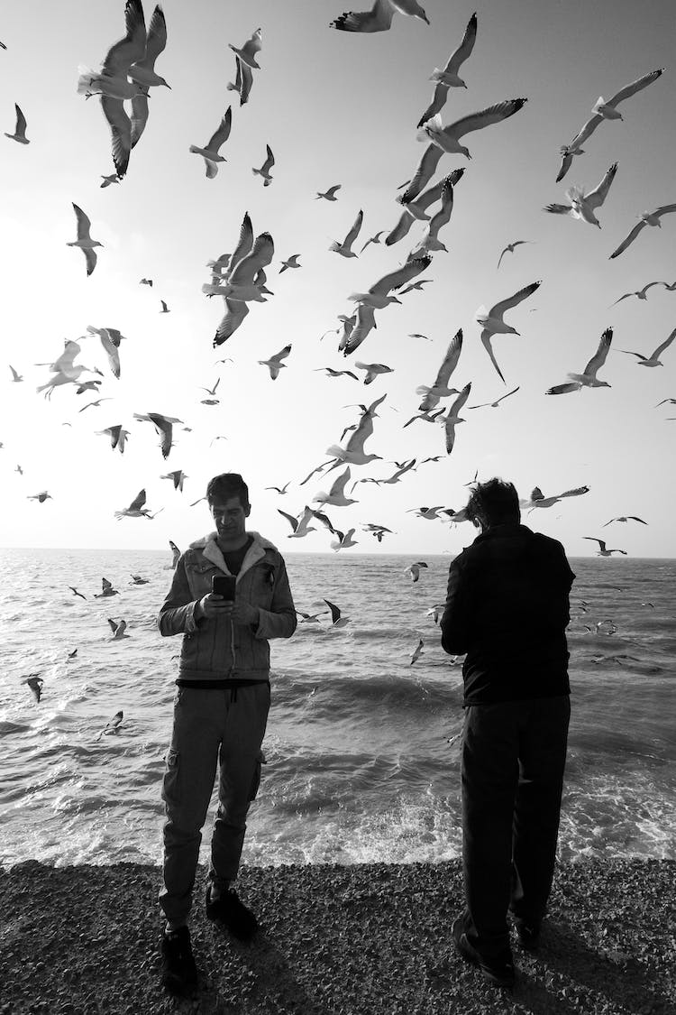 mar blanco y negro hombre playa