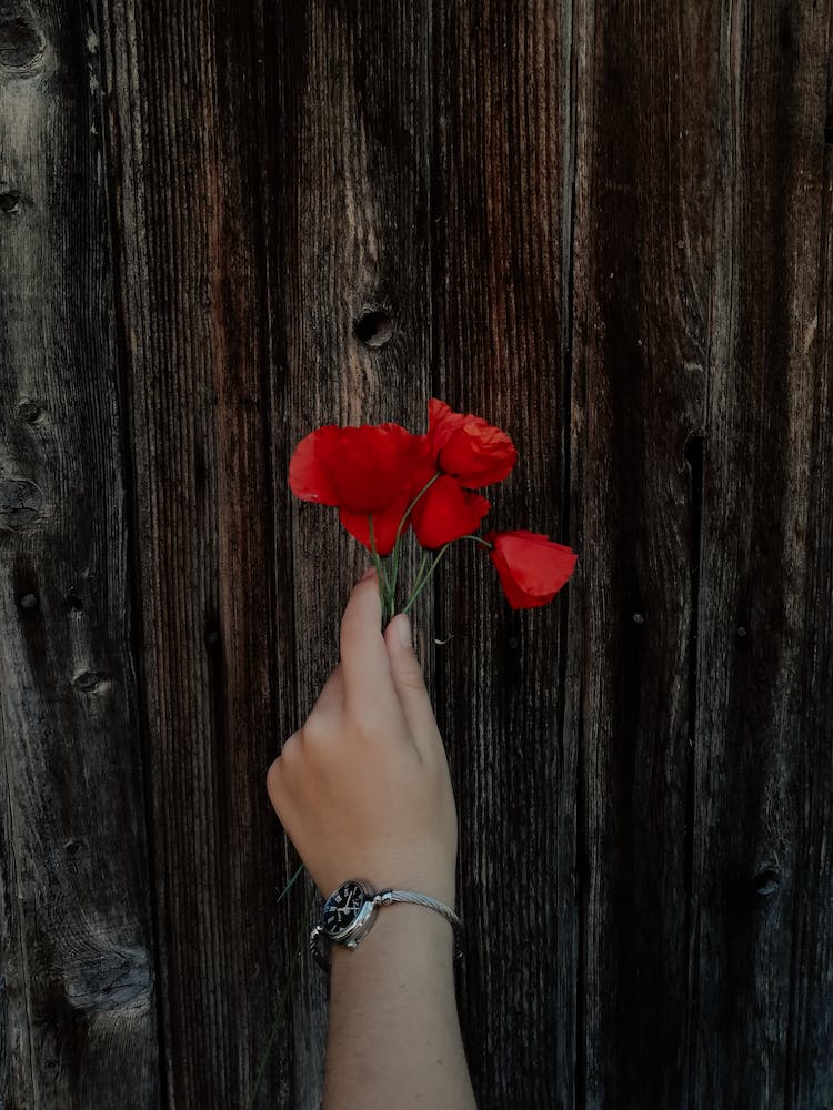 mano sujetando floracion flor