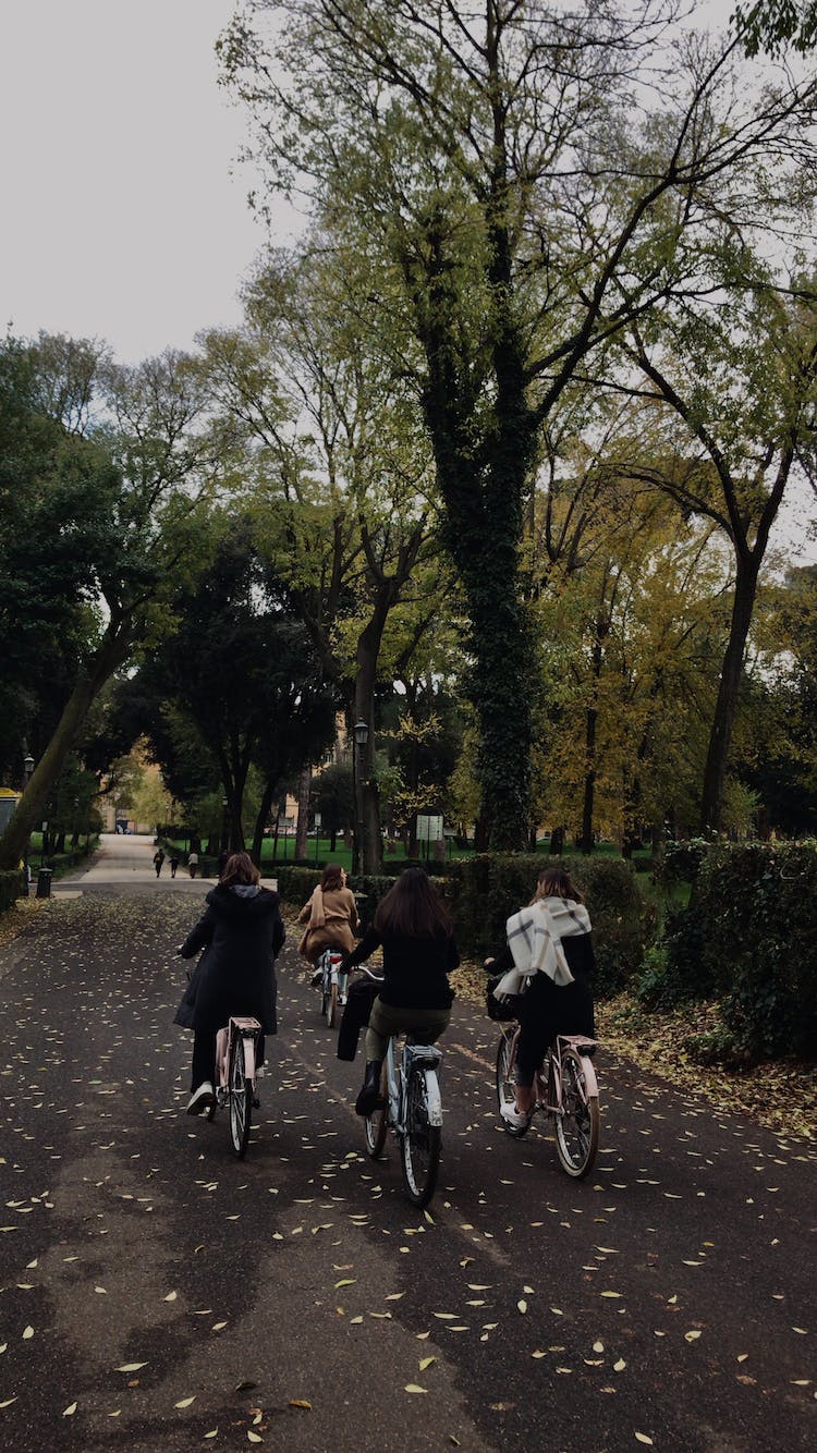 carretera gente bicicletas divertido