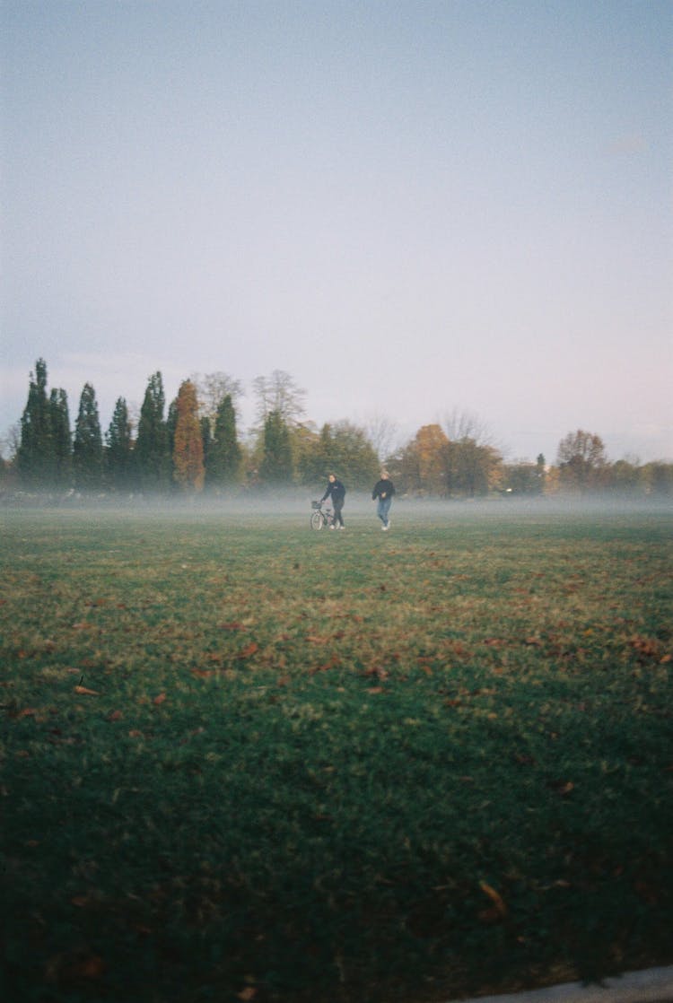 hombre mujer arboles niebla