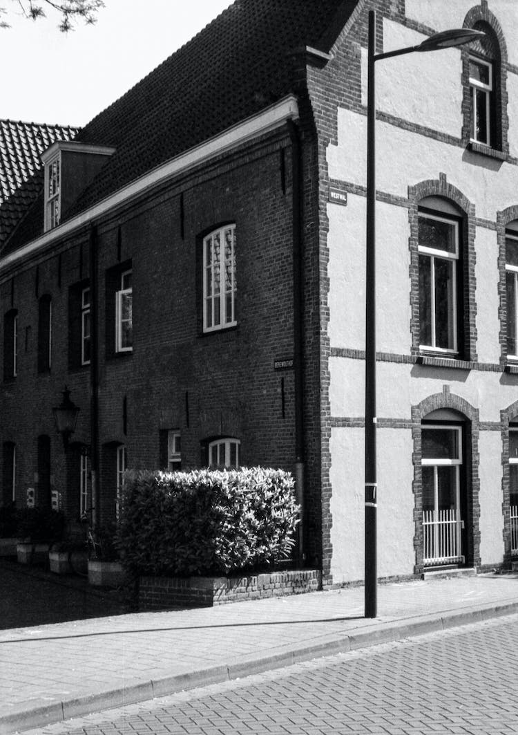 blanco y negro calle arquitectura plantas