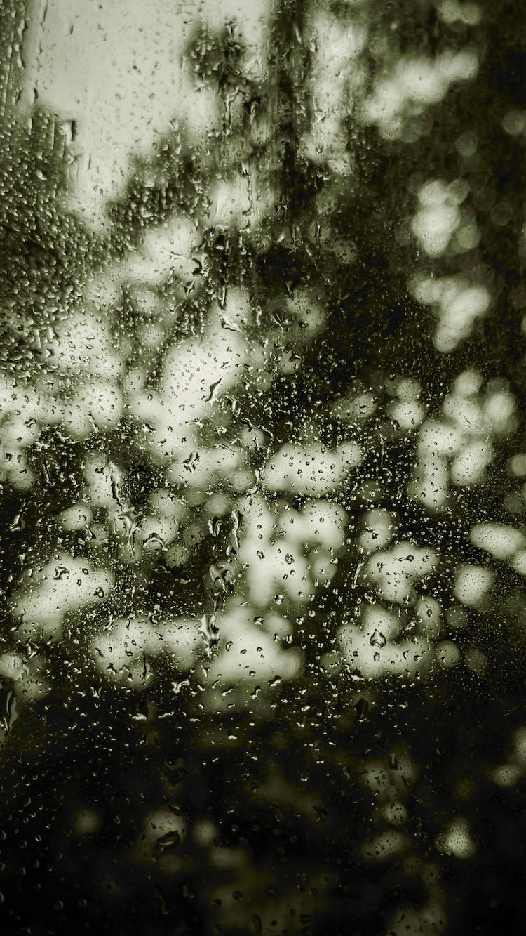 vaso gotas de lluvia ventana ventana de cristal