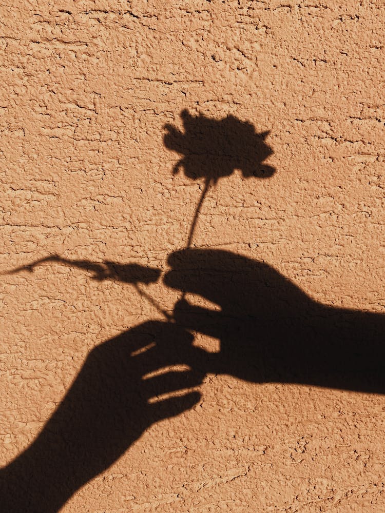 pared flor sujetando sombra