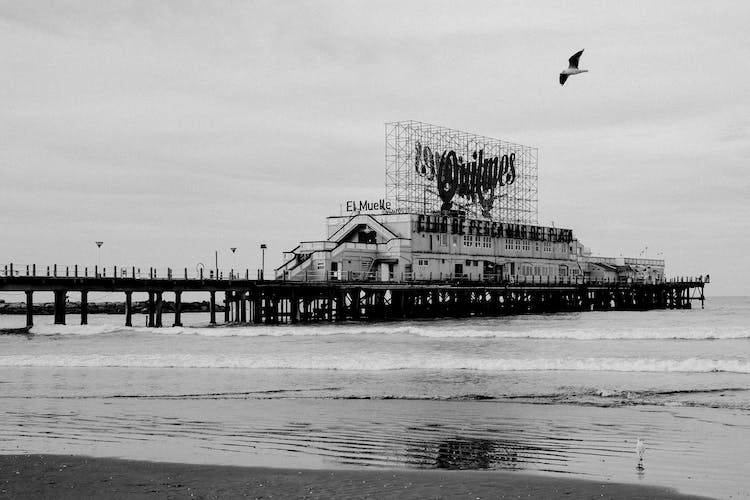 mar blanco y negro playa oceano