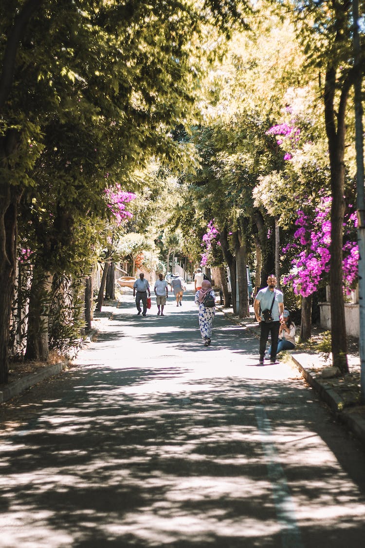 carretera gente calle caminando