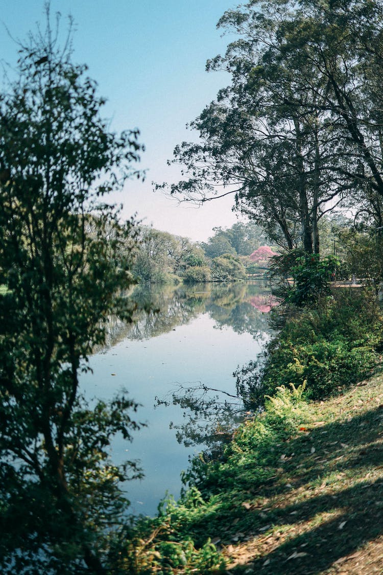 paisaje naturaleza corriente rio