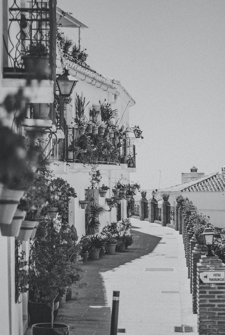 blanco y negro casas calle farola