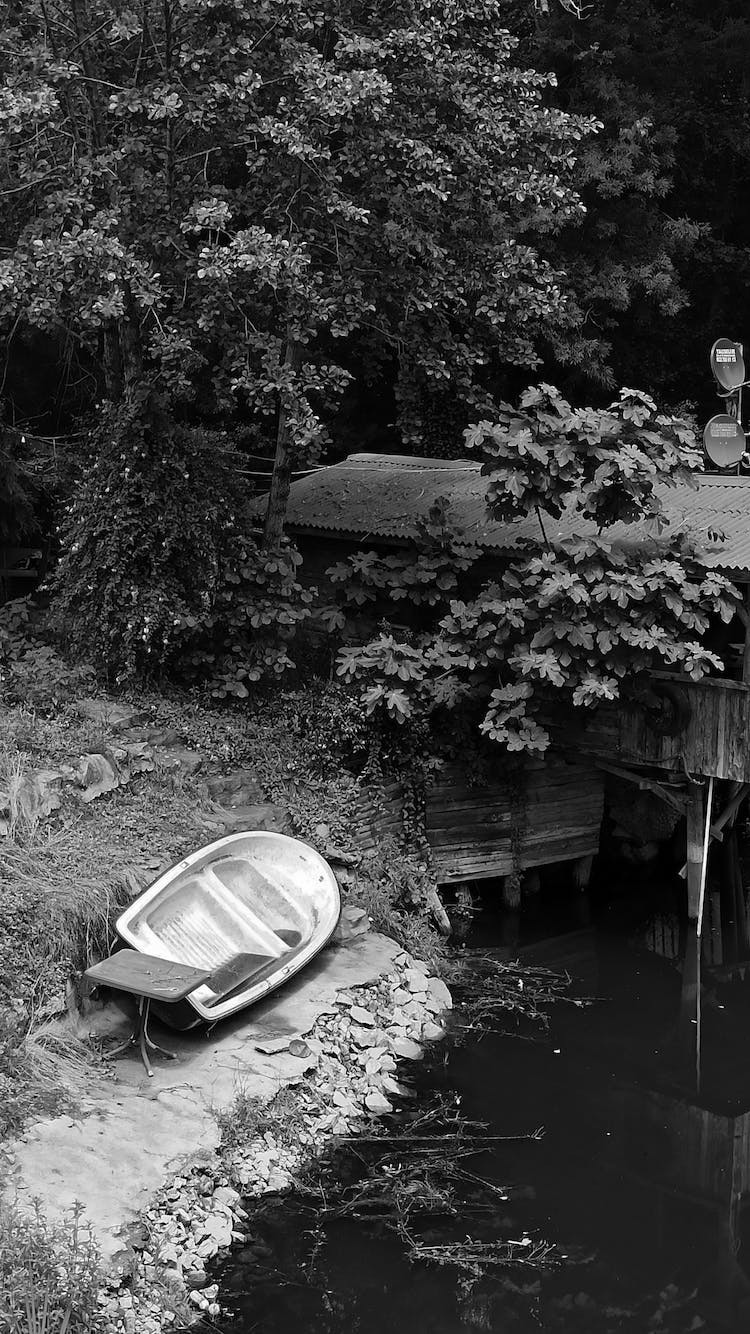 blanco y negro barca lago plantas