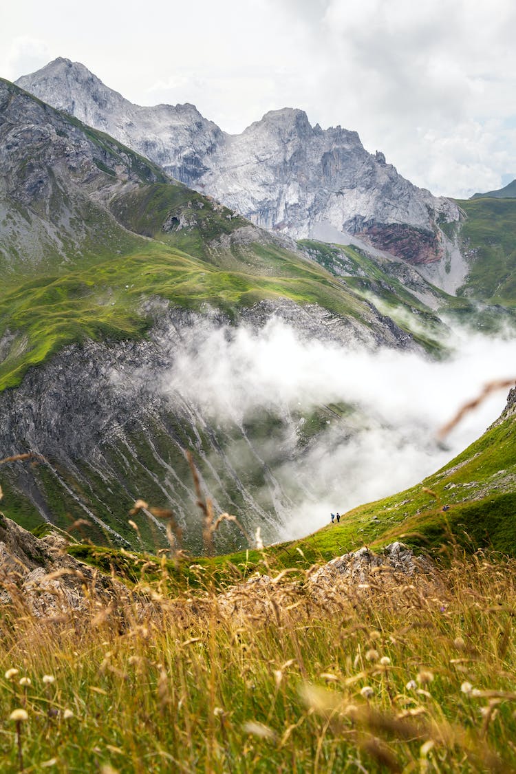 el vagabundo en la guarida de alpen