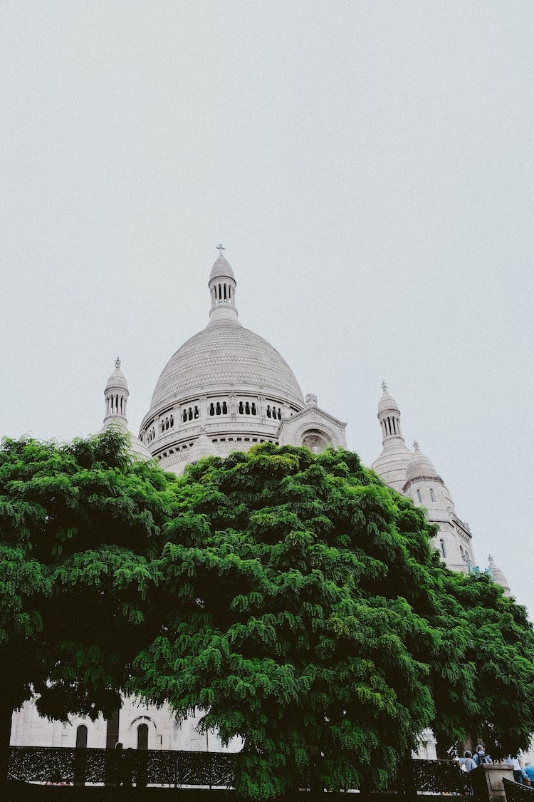 edificio arboles religion catedral