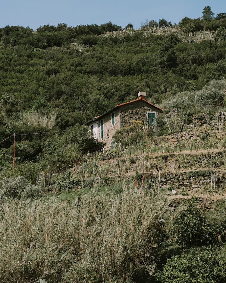 campo casa foto de angulo bajo tiro vertical