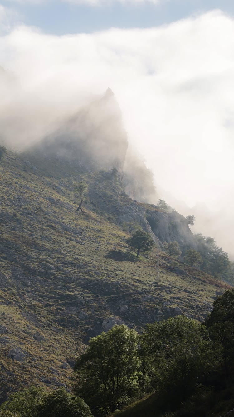 naturaleza niebla neblinoso ladera de la montana