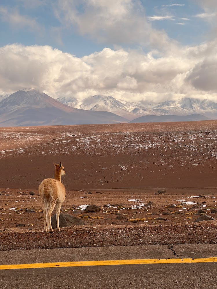 paisaje montanas cielo arena