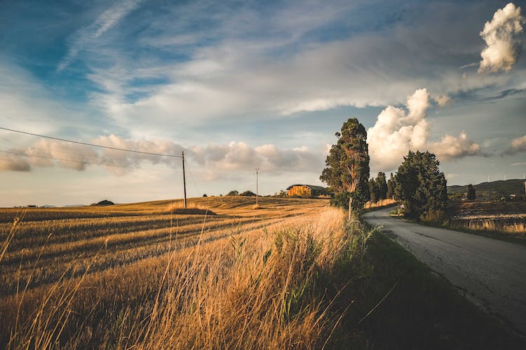 carretera nubes campo arboles