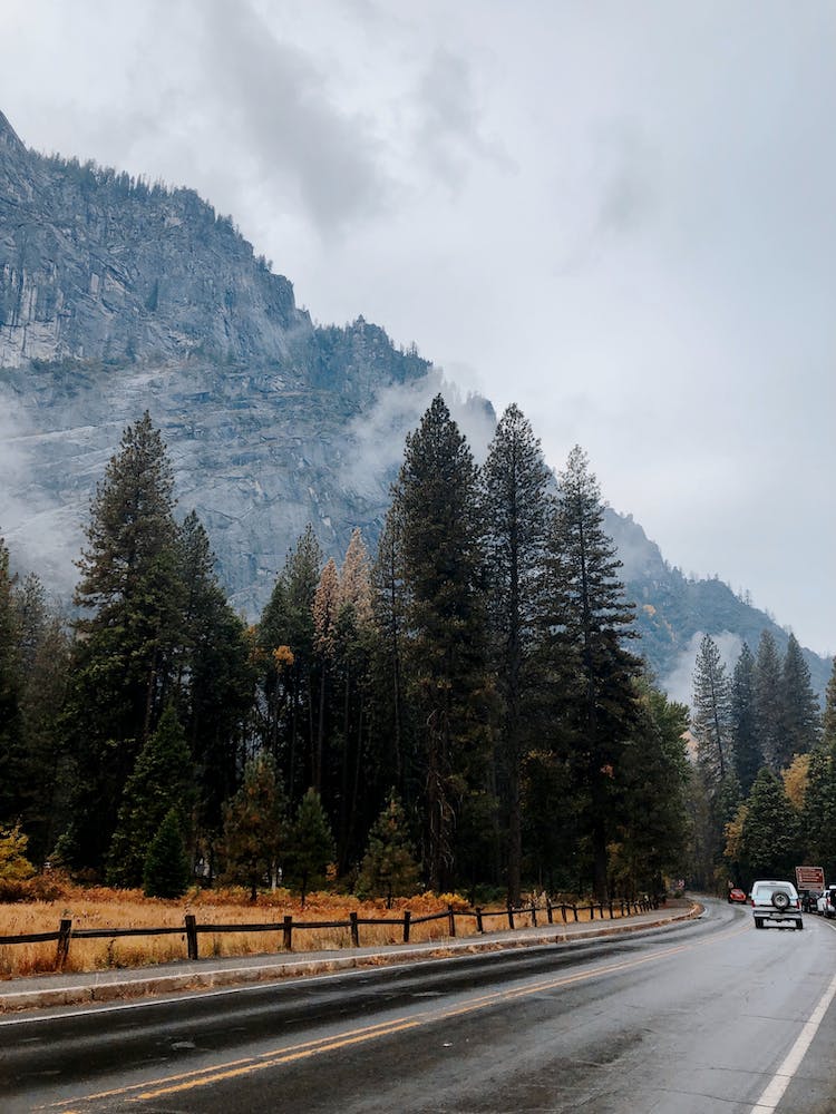 carretera paisaje montana niebla