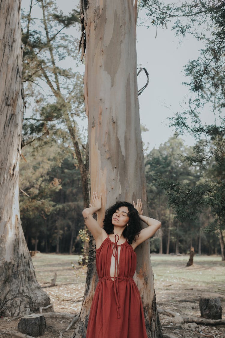 persona mujer arbol vestido