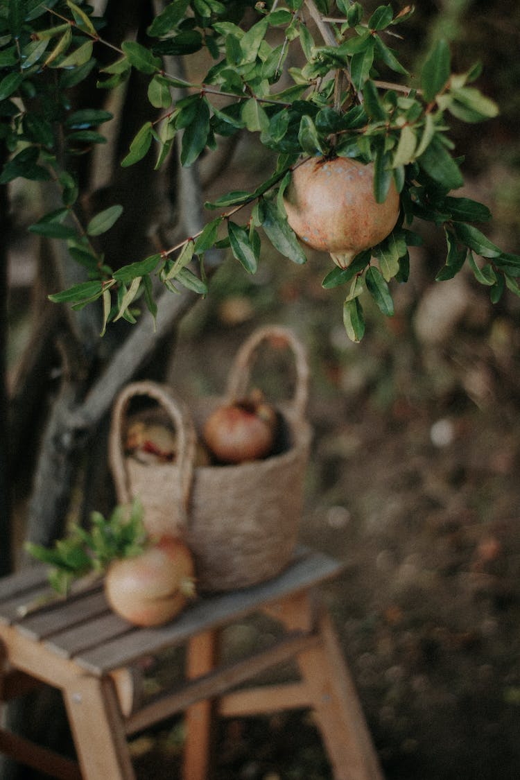 taburete fruta cesta granada