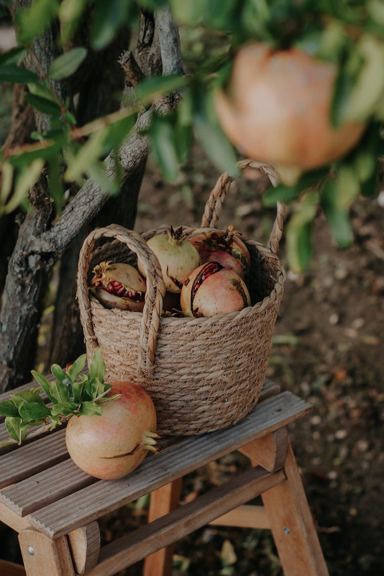 frutas cosecha cesta granadas