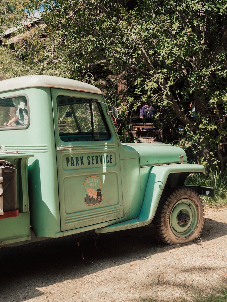 vehiculo vintage arbol rueda