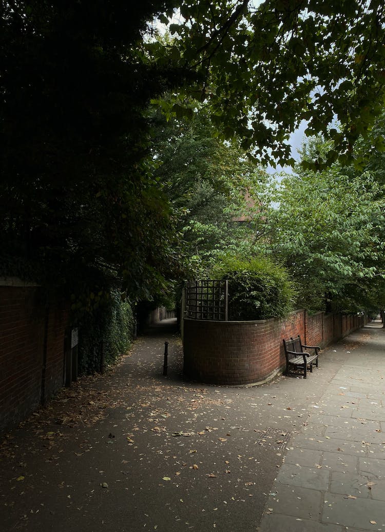 banco ciudad verano jardin