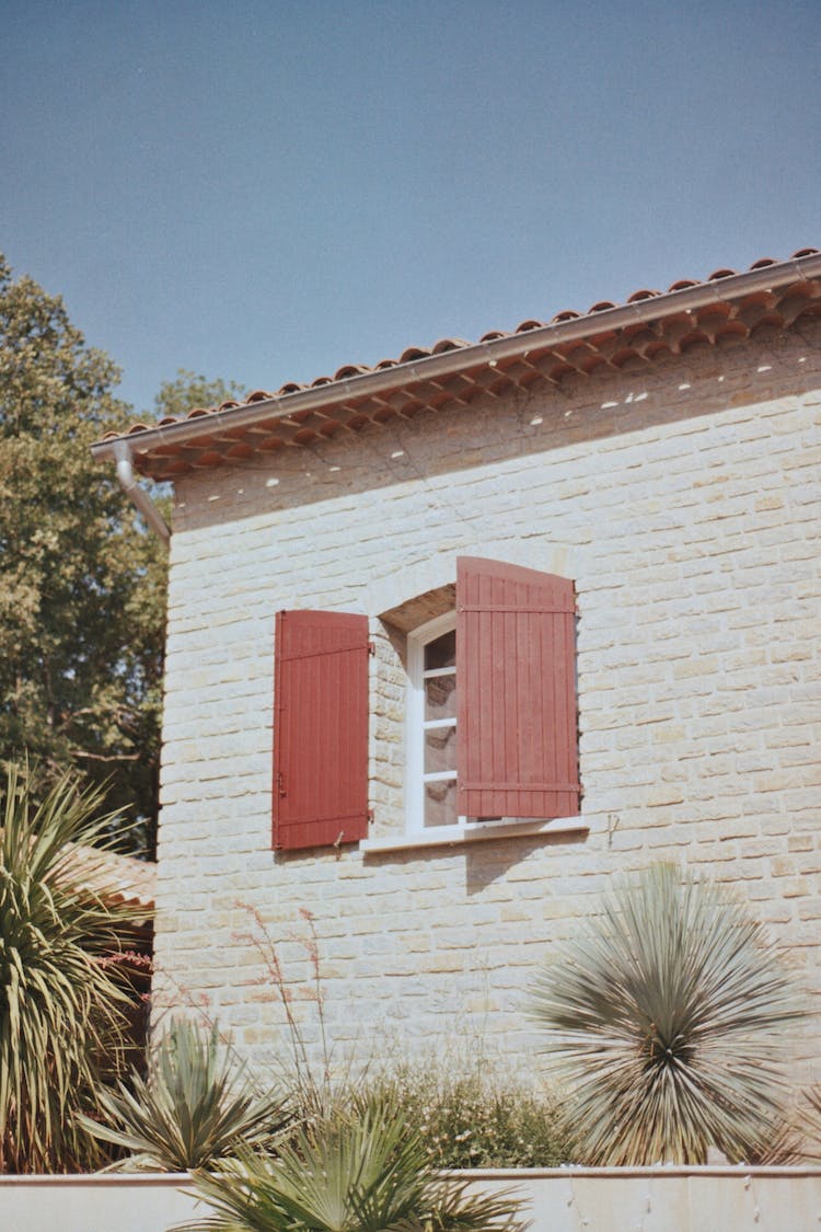 casa arquitectura hojas plantas