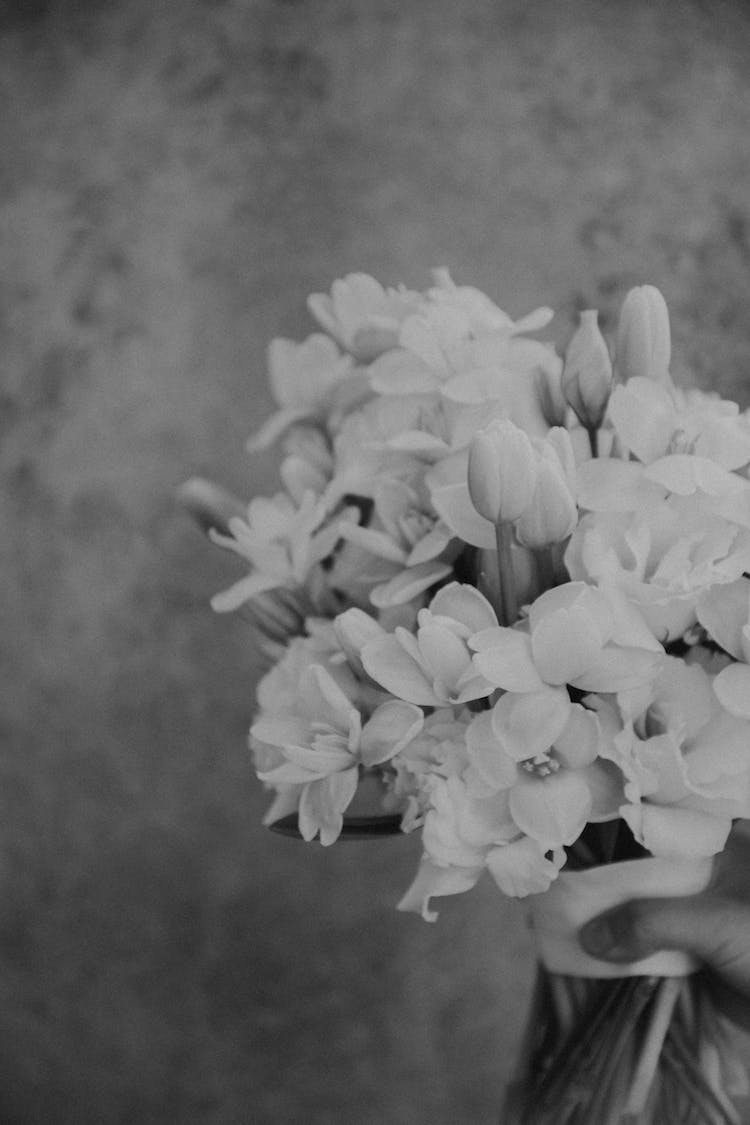 flores flora floreciente monocromo