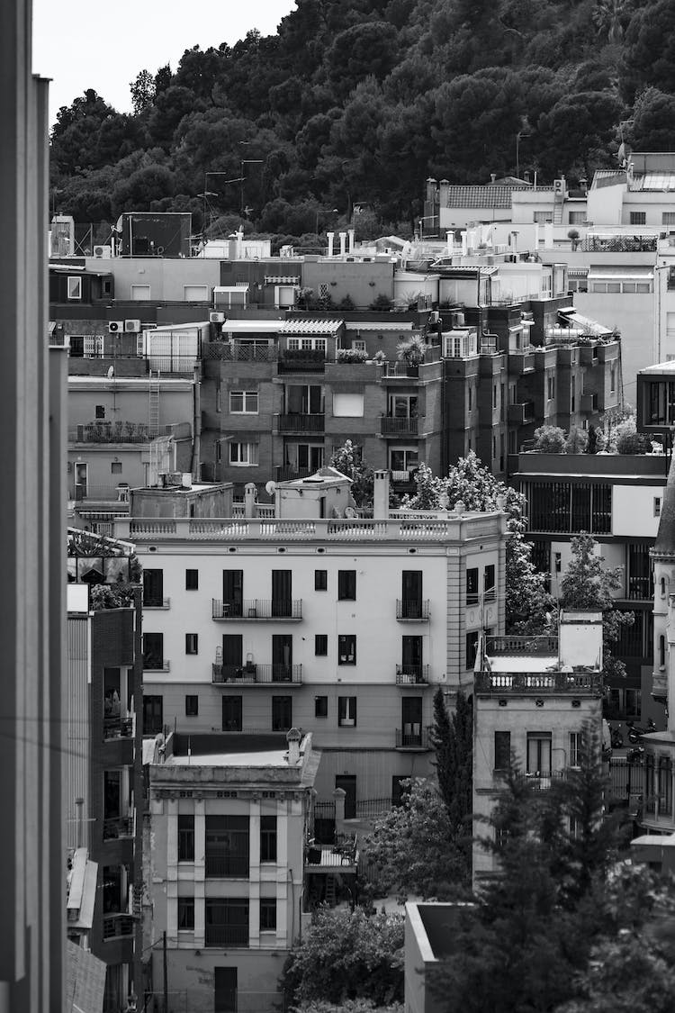 blanco y negro casas edificios arboles