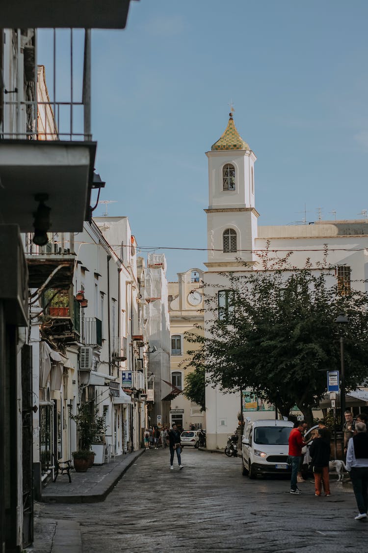 calle edificios arbol iglesia