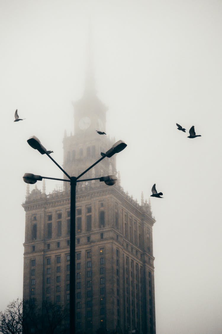 volador edificio invierno silueta