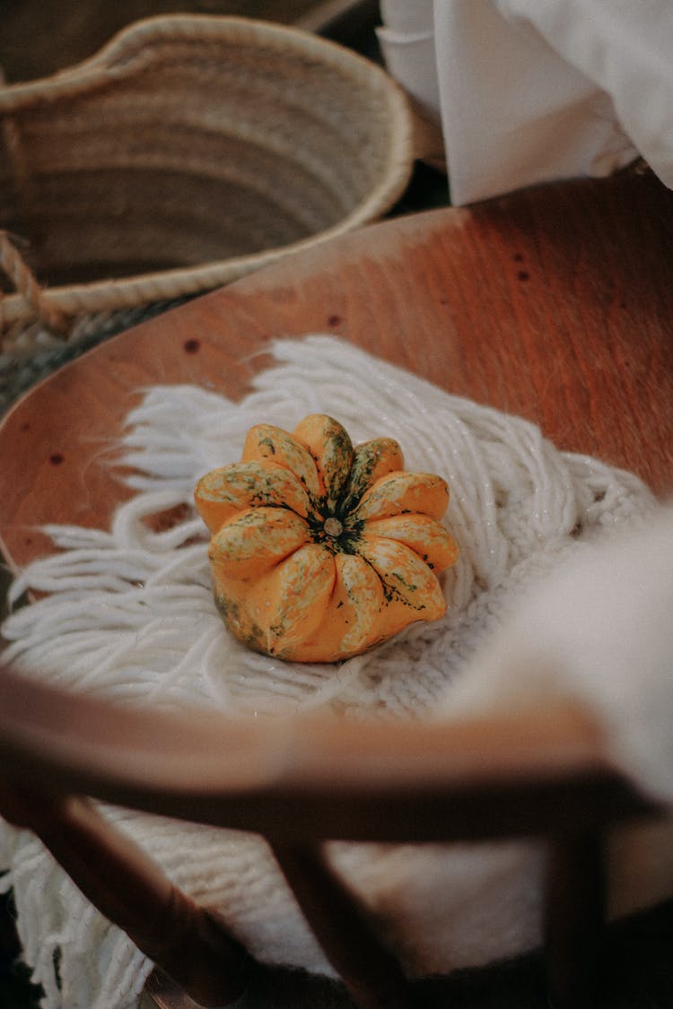 madera calabaza naturaleza muerta verdura