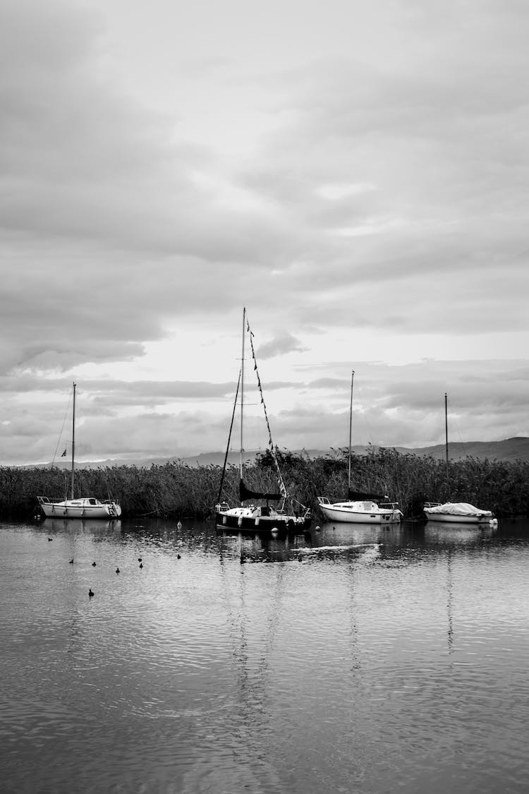 blanco y negro naturaleza cielo nubes