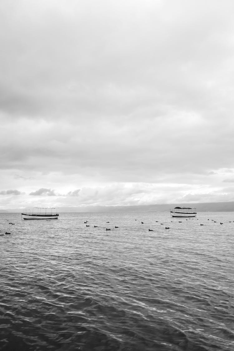 mar blanco y negro agua oceano