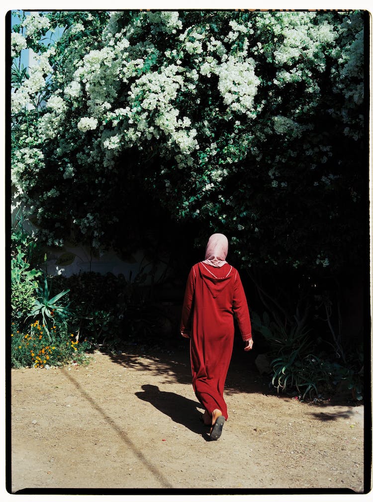 soleado mujer caminando arbol