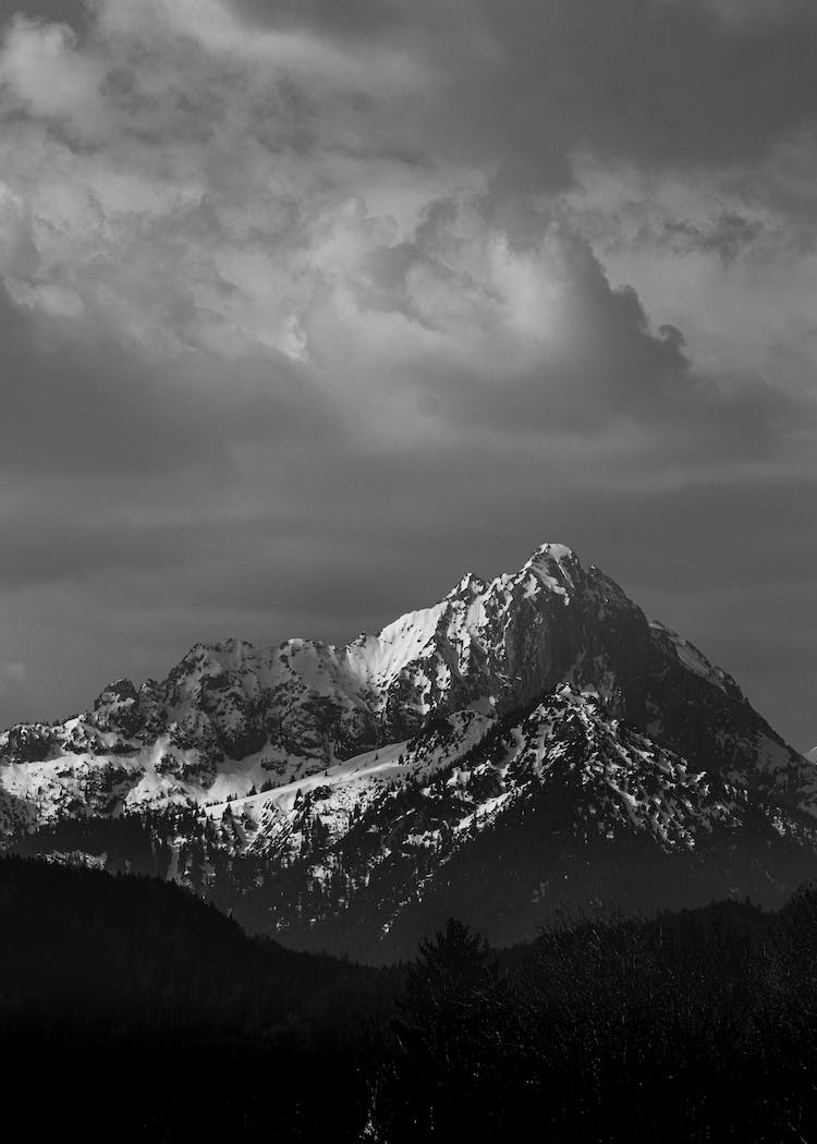 resfriado nieve blanco y negro paisaje