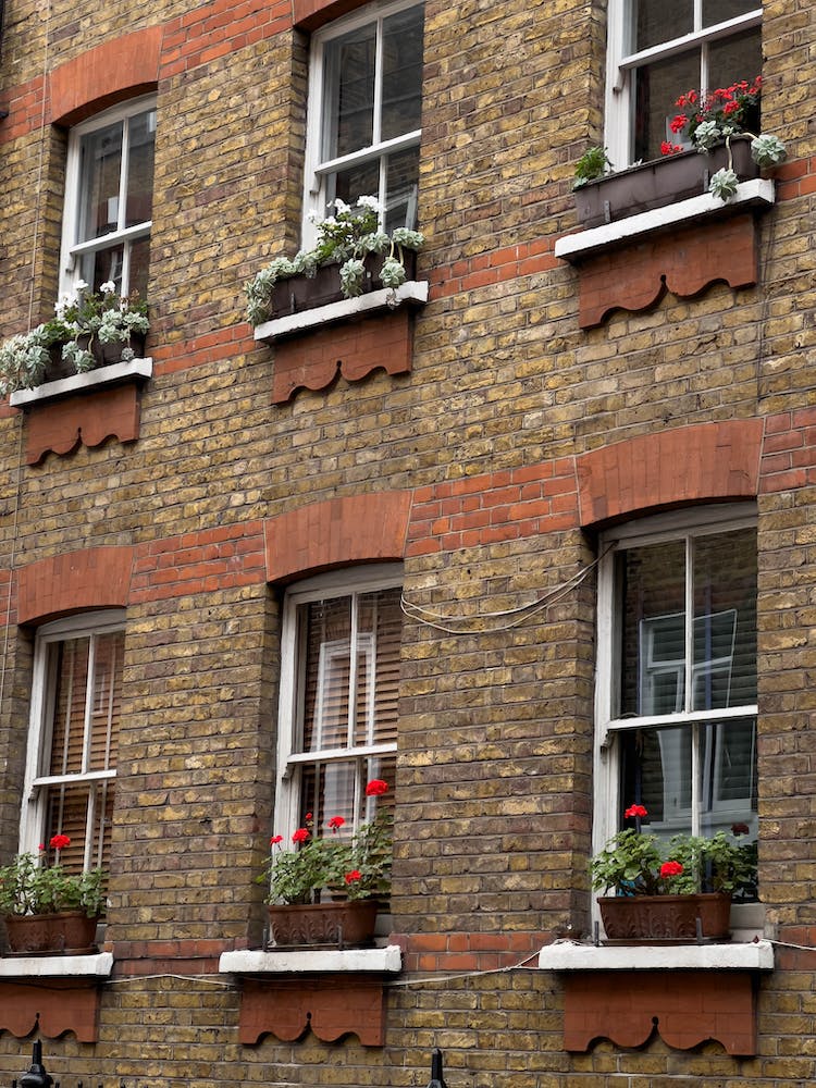 edificio ladrillos ventanas exterior