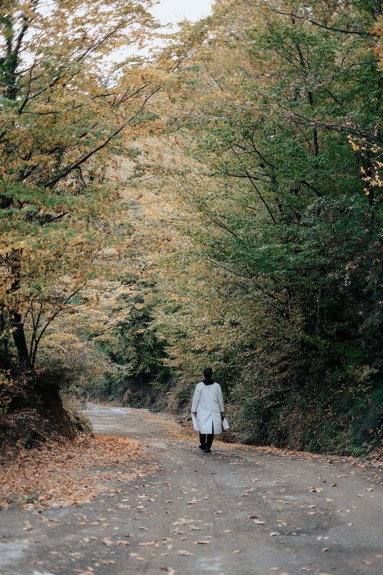 naturaleza persona caminando bosque