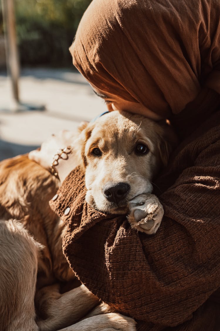 persona mujer animal perro