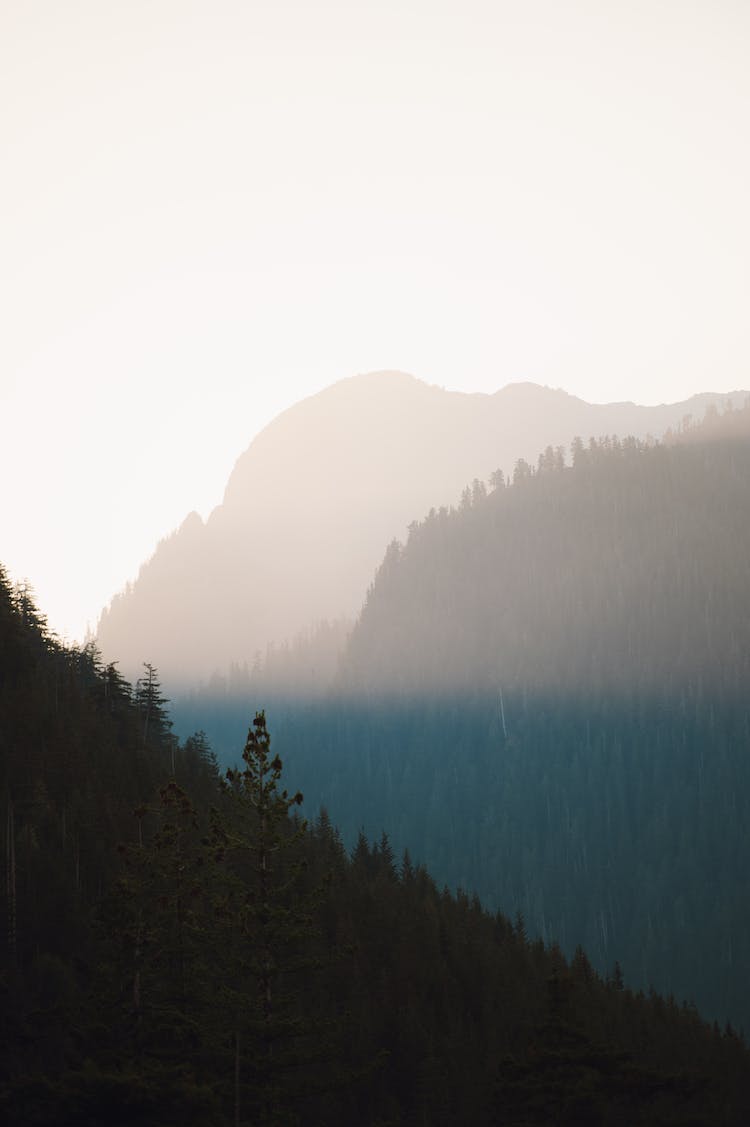 paisaje montanas naturaleza arboles