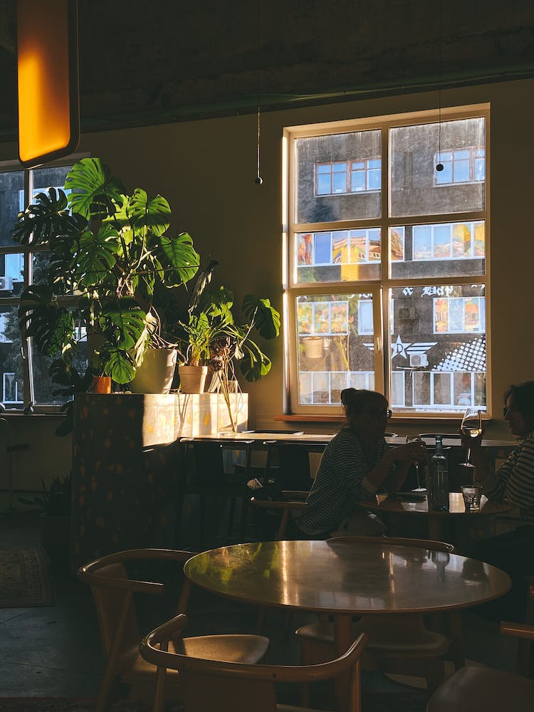 oscuro amigos mujer cafeteria