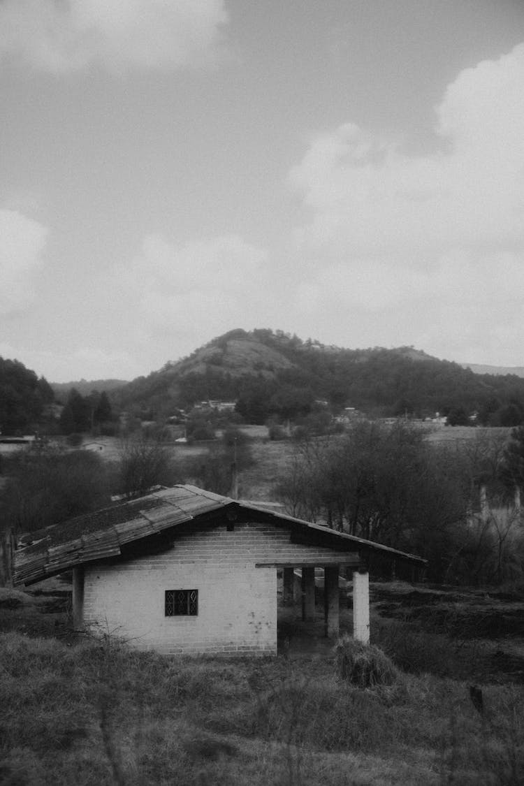 casa abandonado monocromo escala de grises