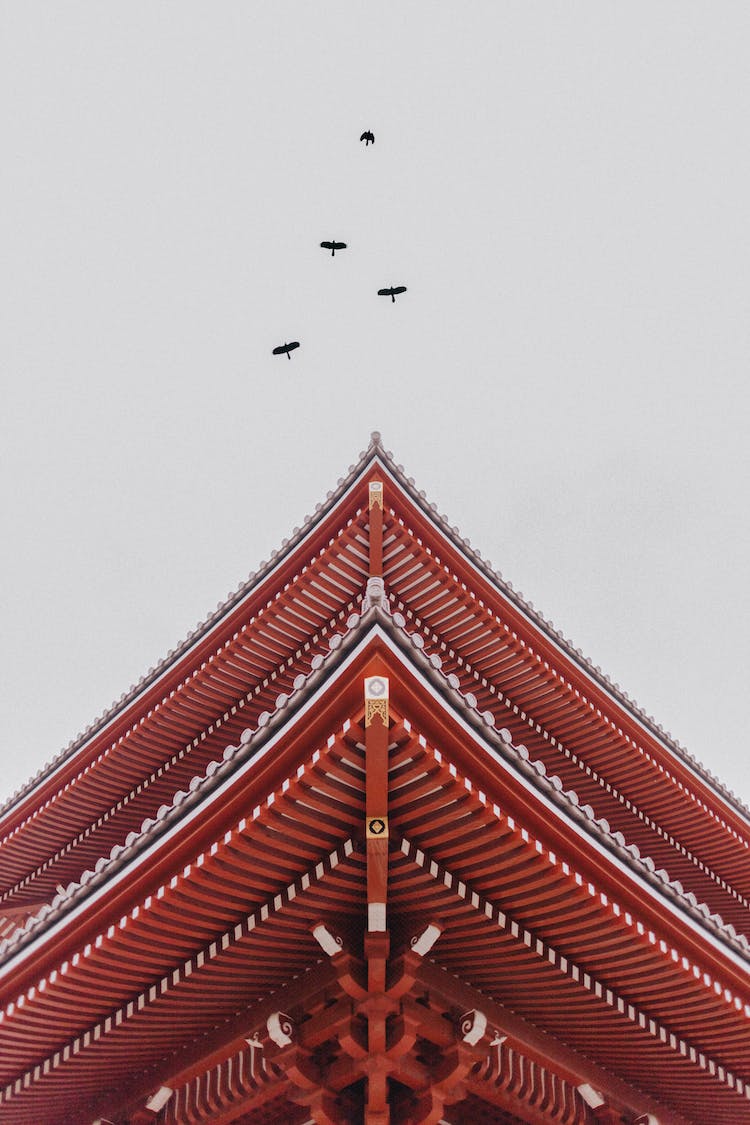 cielo aves foto de angulo bajo exterior del edificio