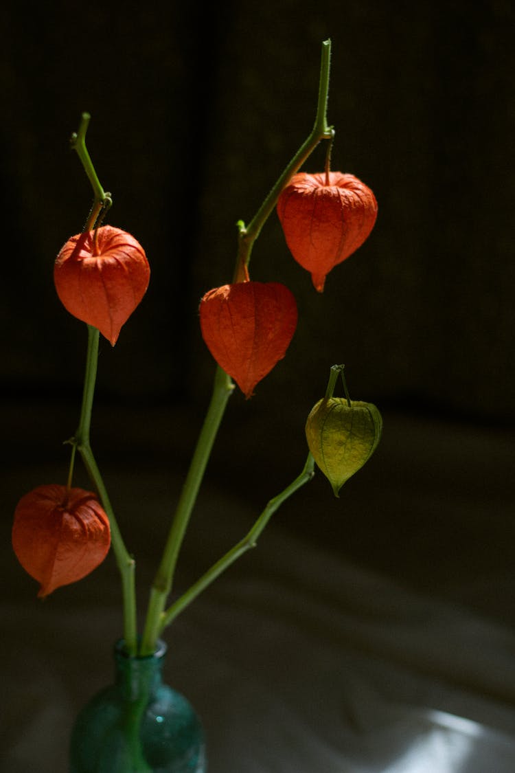 comida madera amor verano