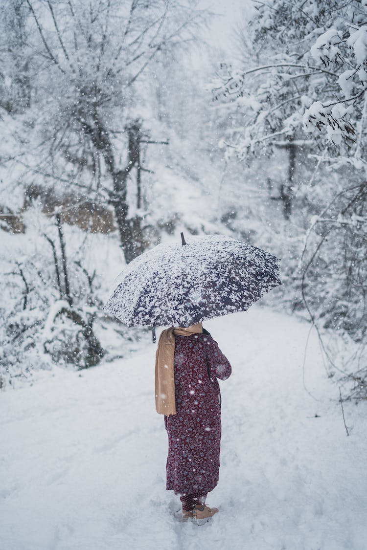 nieve madera mujer bosque