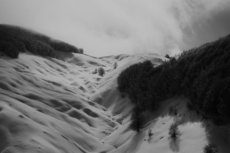 nieve blanco y negro invierno monocromo