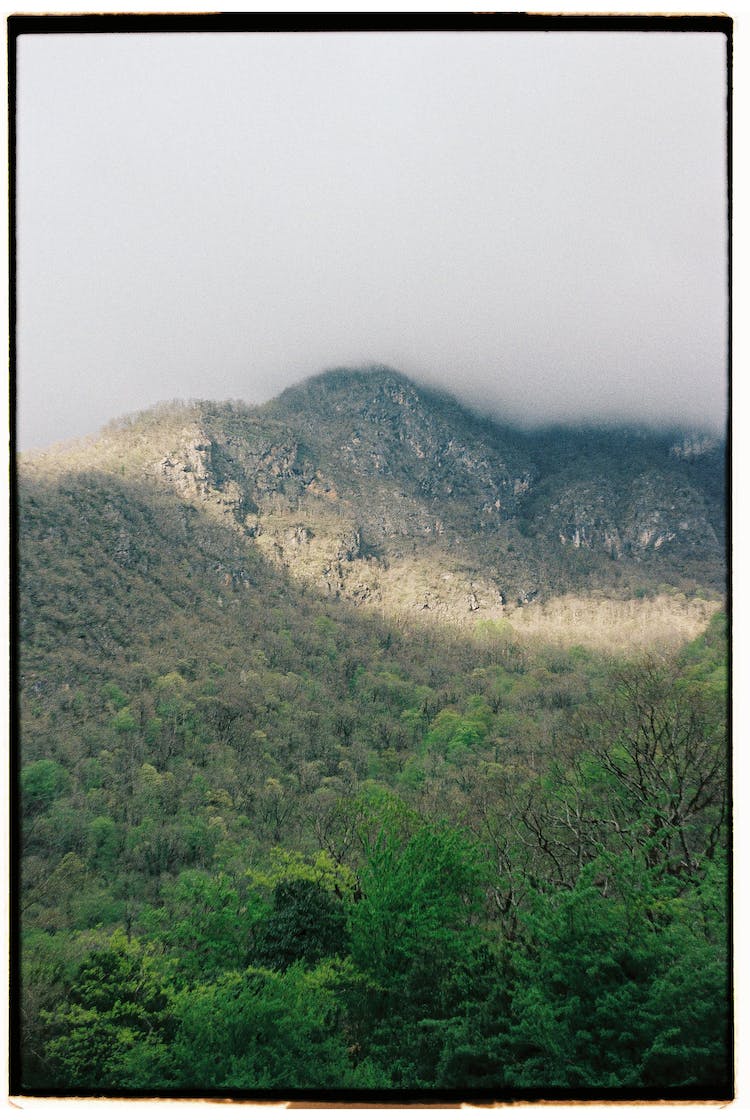 madera ligero amanecer paisaje