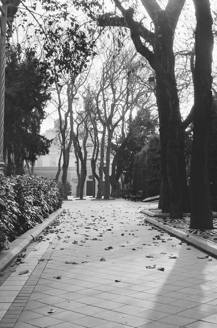 madera blanco y negro carretera gente