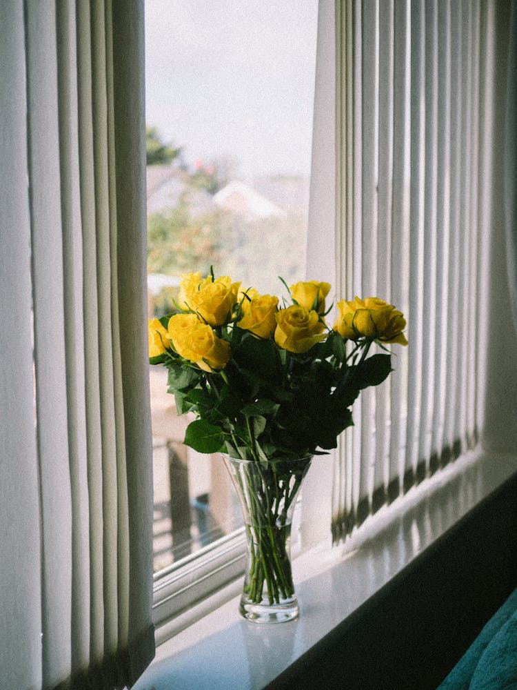 vaso ventanas ventana ramo de flores